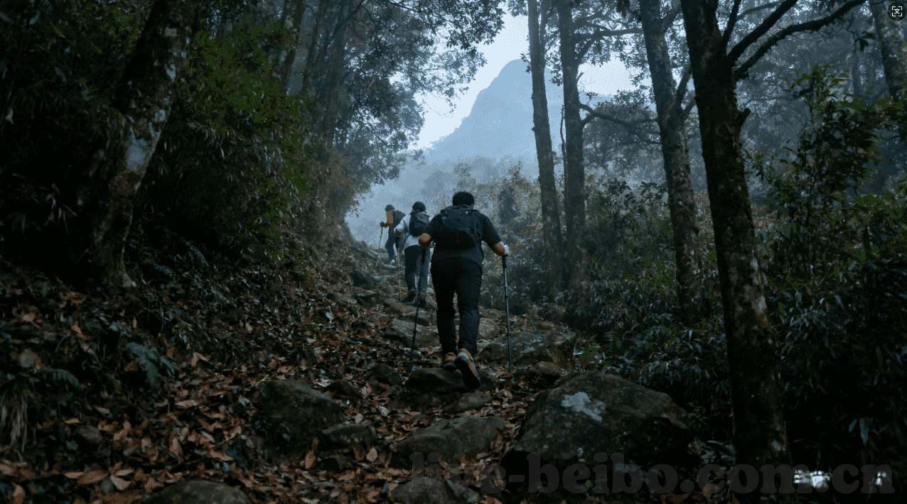 网易星球世界杯竞彩-网易星球世界杯竞彩，数字体育的新篇章